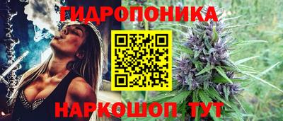 марки lsd Новозыбков