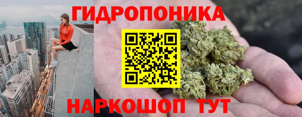 МАРИХУАНА Amnesia  Вход с VPN  Тара  Марихуана AK-47  Шишки марихуана тримм 